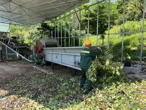 天台县 探索建立园林绿化垃圾资源化利用体系 为垃圾分类工作助力增效