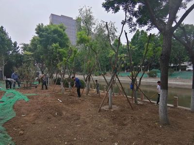 【原山大绿化时代】雨天不停工,绿化工程建设持续推进!