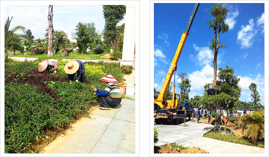 广西园林绿化-广西市政工程-广西道路照明工程-广西深根建.