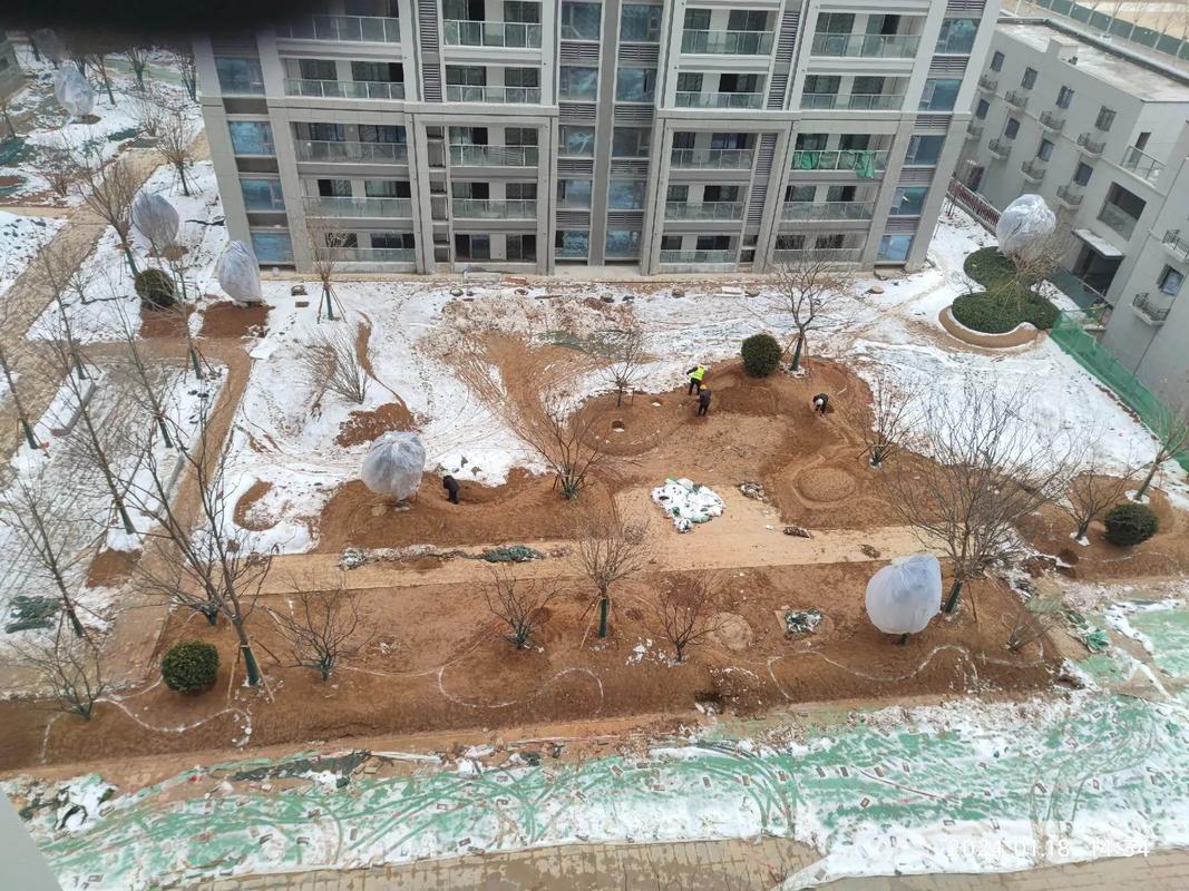 园林绿化工程 #小区绿化 #辛勤劳动者 #施工现场实拍 地