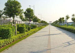 如何在市政道路园林施工完善绿化养护管理 好养护