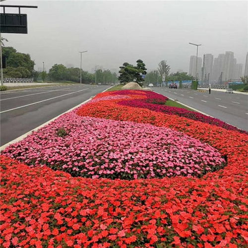 杭州园林绿化工程施工价格合理