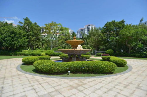 园林干货 绿化施工全流程解析