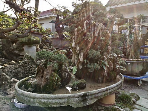 成都市光和园林艺术有限责任公司 打造绿色生态的专业园林服务