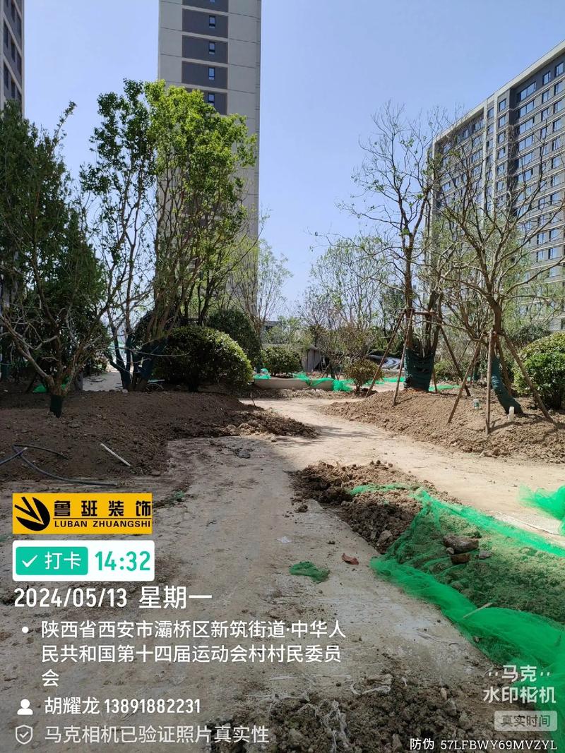 施工现场实拍 #园林绿化工程 #工程进度 #现场实拍 望江