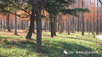 沙墩河公园悄悄发生着变化
