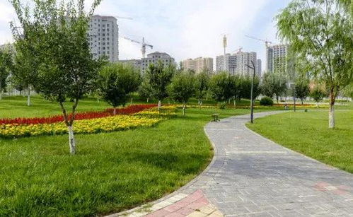 权威发布 商丘新建 升级改造公园 绿地 道路绿化大全 快看哪些在你家门口