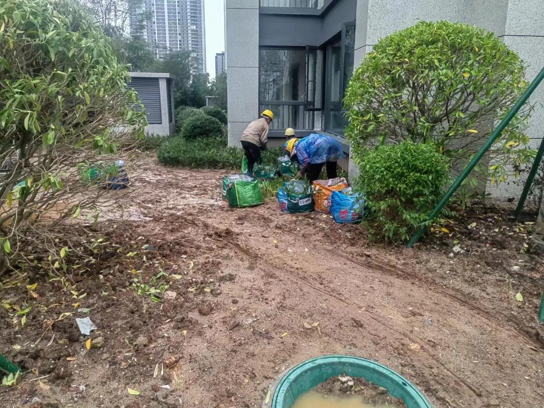 图文来了 #园林景观工程 #施工现场实拍 这下雨天,真干不
